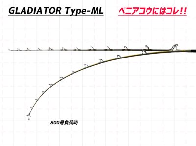 画像3: [カラーサンプル] FRONTIER GLADIATOR Type-ML シルバーガイド シルバー